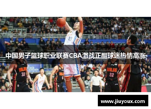中国男子篮球职业联赛CBA激战正酣球迷热情高涨