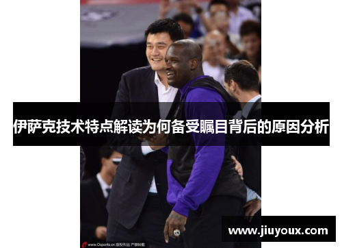 伊萨克技术特点解读为何备受瞩目背后的原因分析