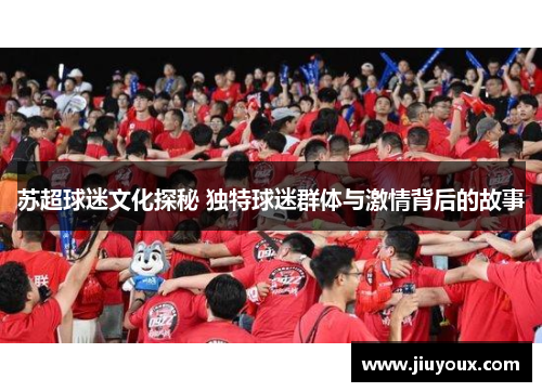 苏超球迷文化探秘 独特球迷群体与激情背后的故事